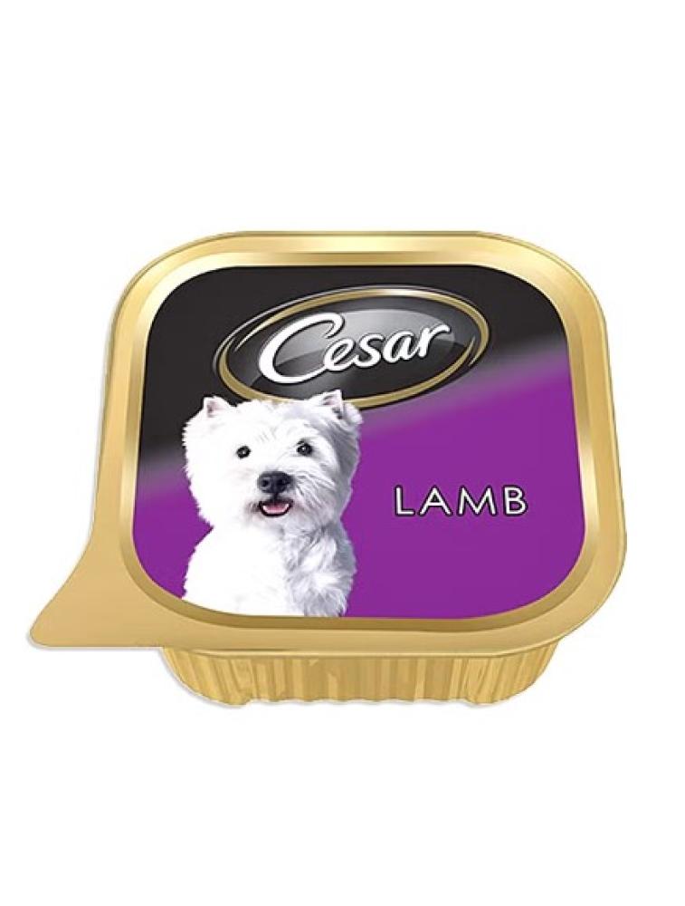 Cesar, Dog wet food, Lamb, Can foil tray, 3.5 oz (100 g) royal canin wet dog food starter mousse mother and babydog 6 8 oz 195 g