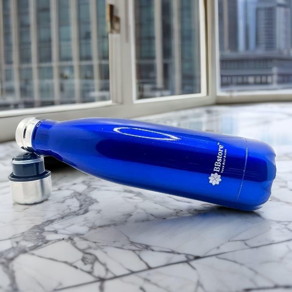 цена GStorm Double Layer Stainless Steel Leak Proof Water Bottle with Premium Look And Capacity 500ml (Blue)