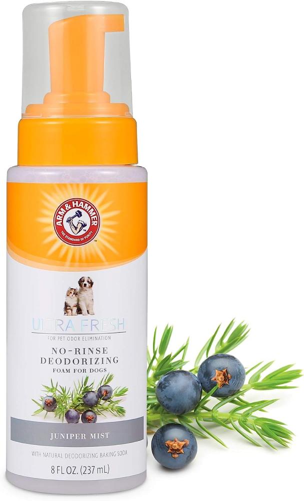 цена Arm and Hammer Ultra Fresh No-Rinse Deodorizing Foam with Cactus Water and Citrus
