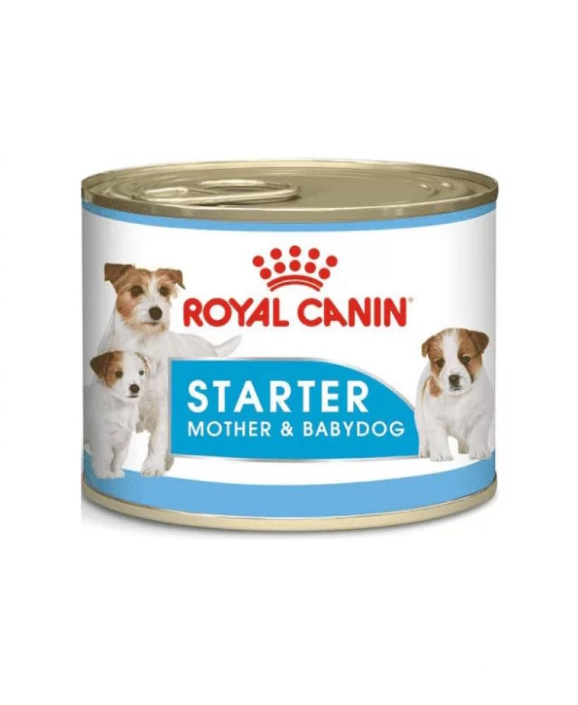 Royal Canin \/ Wet dog food, Starter mousse by can, 6.8 oz (195 g) cesar dog wet food beef can foil tray 3 5 oz 100 g
