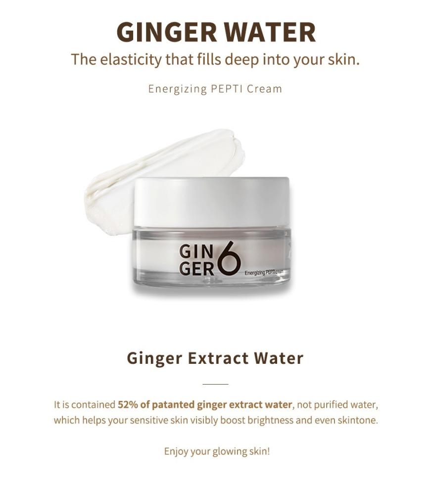GINGER6 Energizing PEPTI Cream facial face steamer deep cleanser mist nano aromatherapy steam sprayer spa skin humidifier moisturizer promote blood circulation