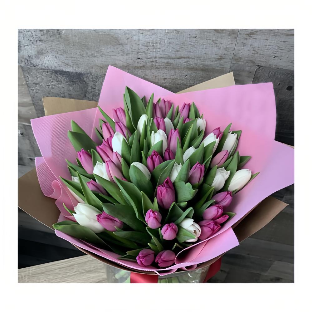 50 White and Dark Pink Tulips Bouquet