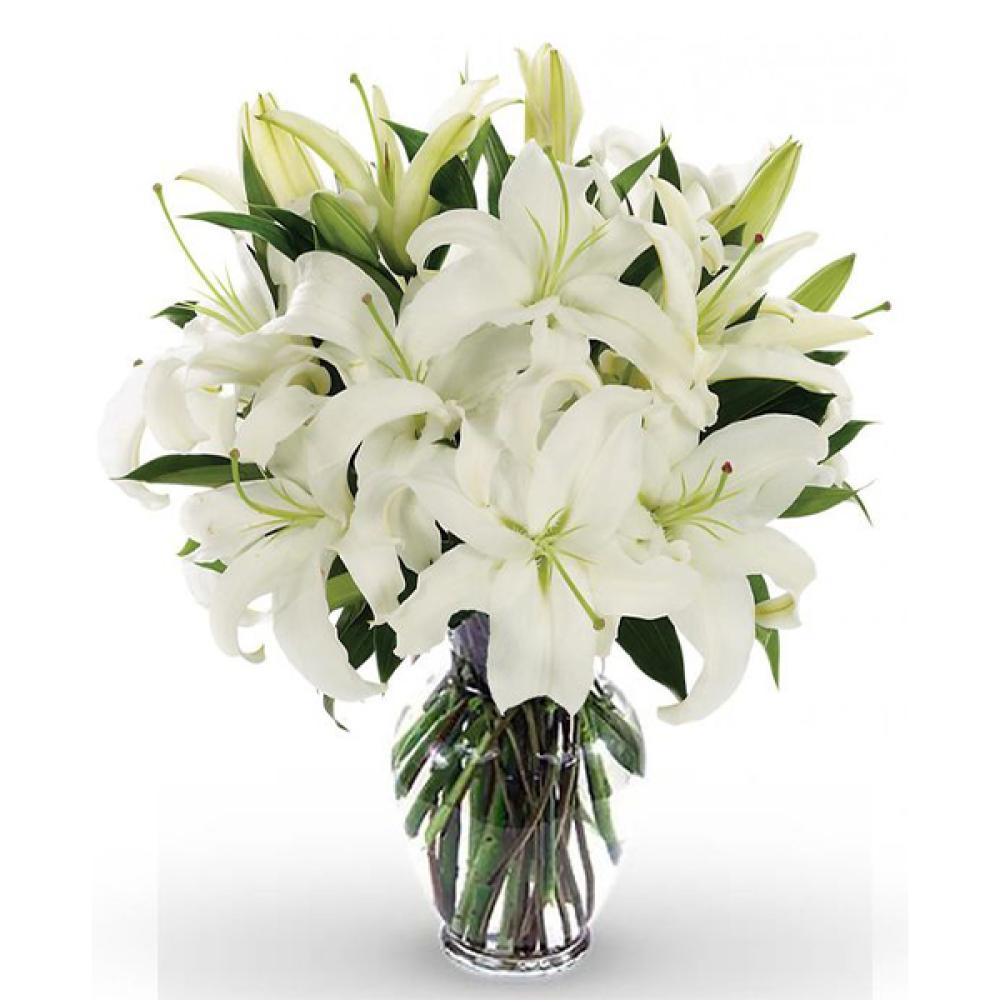 White Lily with Glass Vase birthday wishes flowers in a glass vase