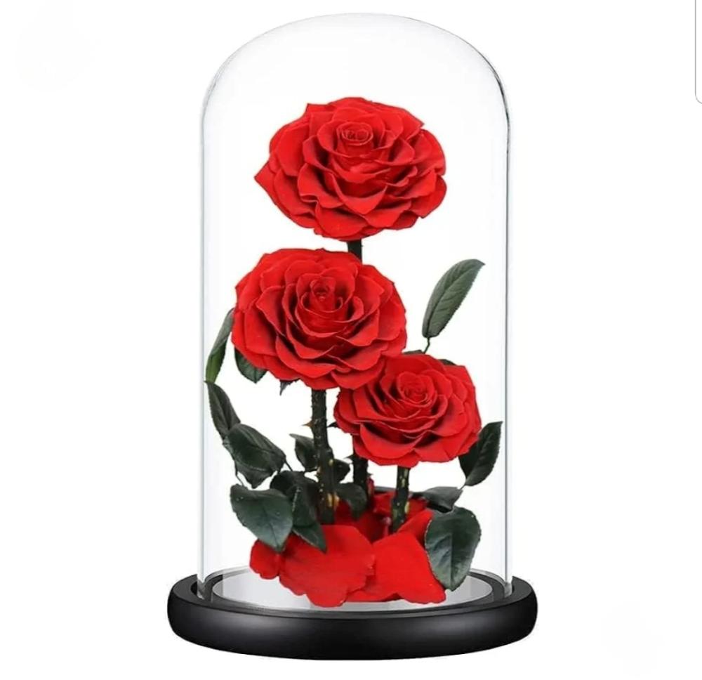 Trio Red Infinity Rose i love you red roses black box