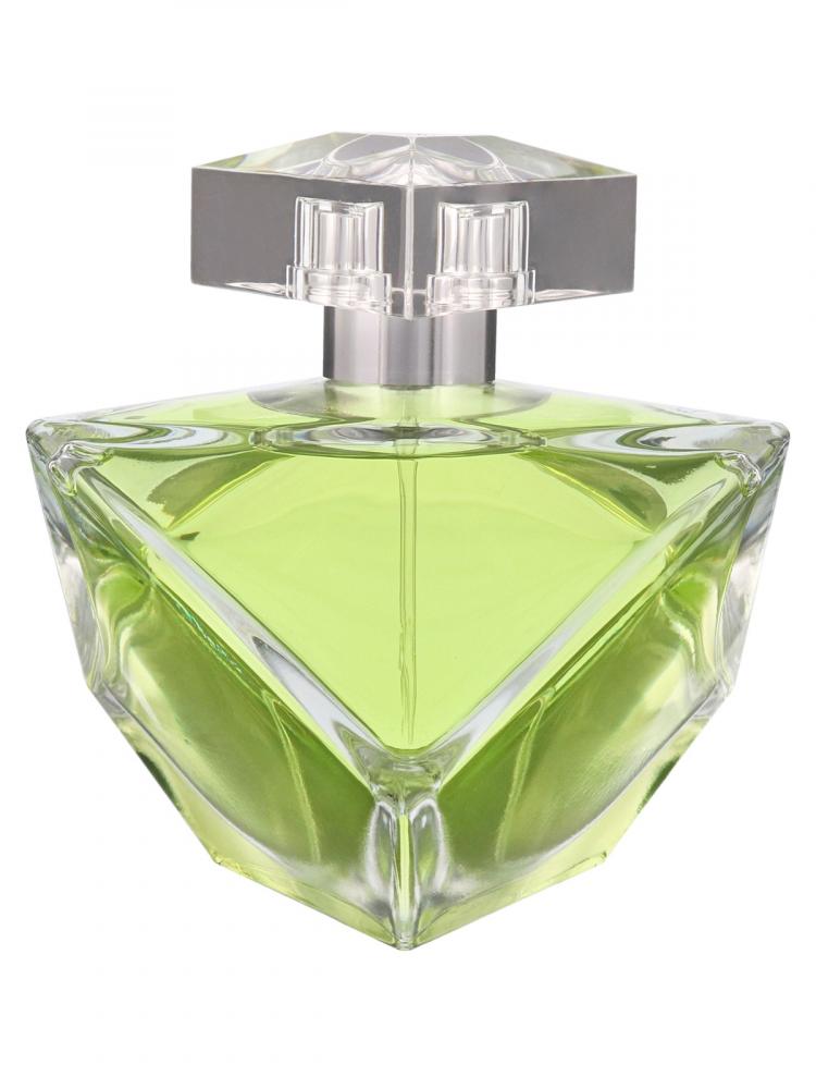 цена Britney Spears Believe For Women Eau De Parfum 100 ml