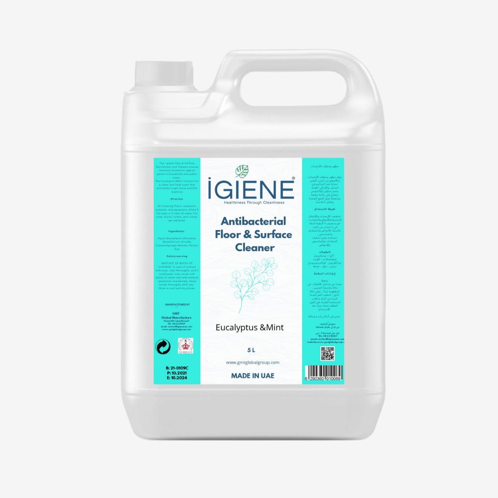 IGIENE Floor \& Surface Cleaner - Eucalyptus \& Mint - 5 Litre flat squeeze mop and bucket hand free wringing mop microfiber mop pads wet or dry usage on hardwood laminate tile