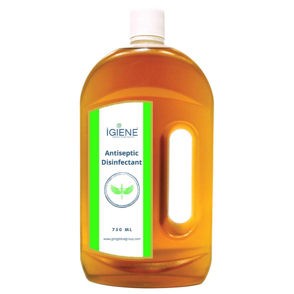 IGIENE Antiseptic Disinfectant - 750 ml 100ml 75% alcohol disinfectant liquid portable antiseptic hand sanitizing spray t4mb