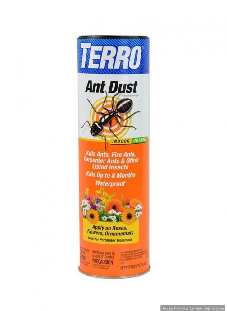 Terro Ant Dust insect traps efficient for many insects for house indoor outdoor plants sticky yellow 48 pcs