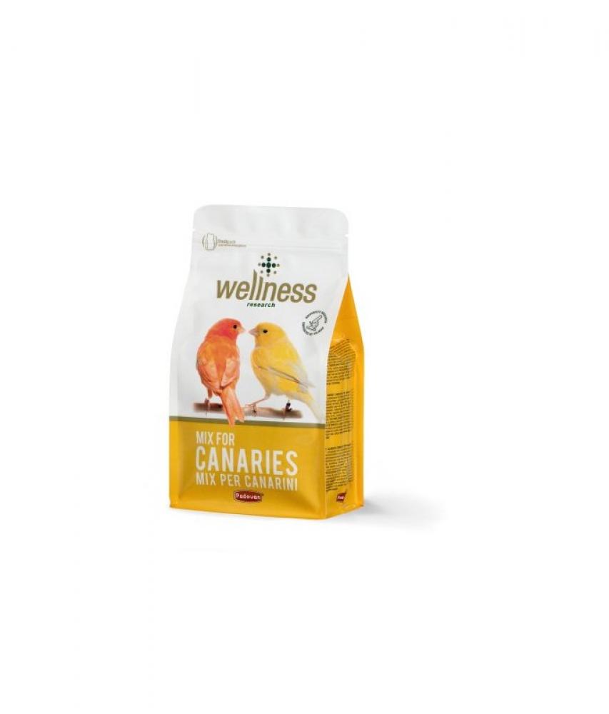 Padovan Wellness Canaries Special Mix - 1kg носки женские delicious fruits