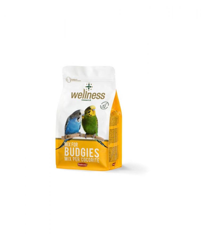 Padovan Wellness Budgies Special Mix - 1kg padovan natural mix seeds for finches 5kg