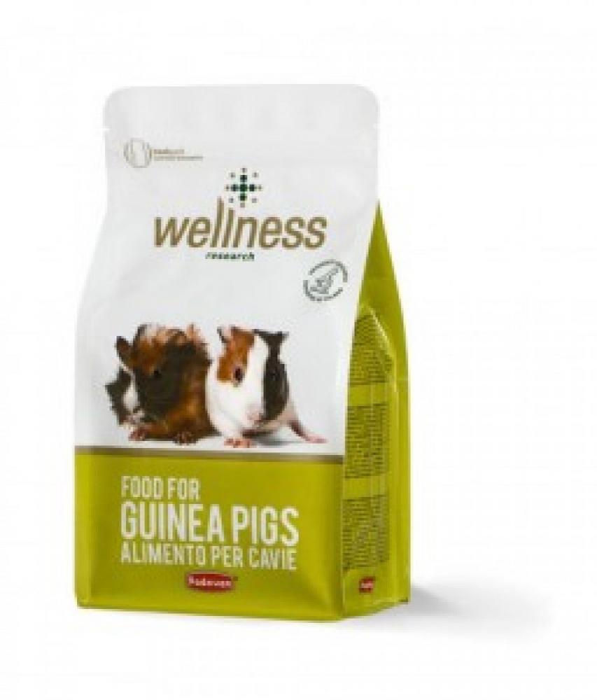 Padovan Wellness Guniea Pigs Special Mix - 1 kg padovan wellness young dwarf rabbit special mix 1 kg