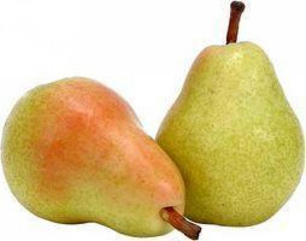 Coscia Pears 1kgs absolut pears