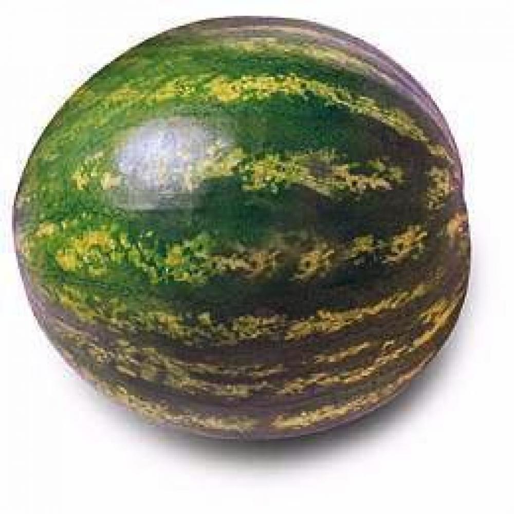 esiri allie a poem for every summer day Watermelon 4-5kg