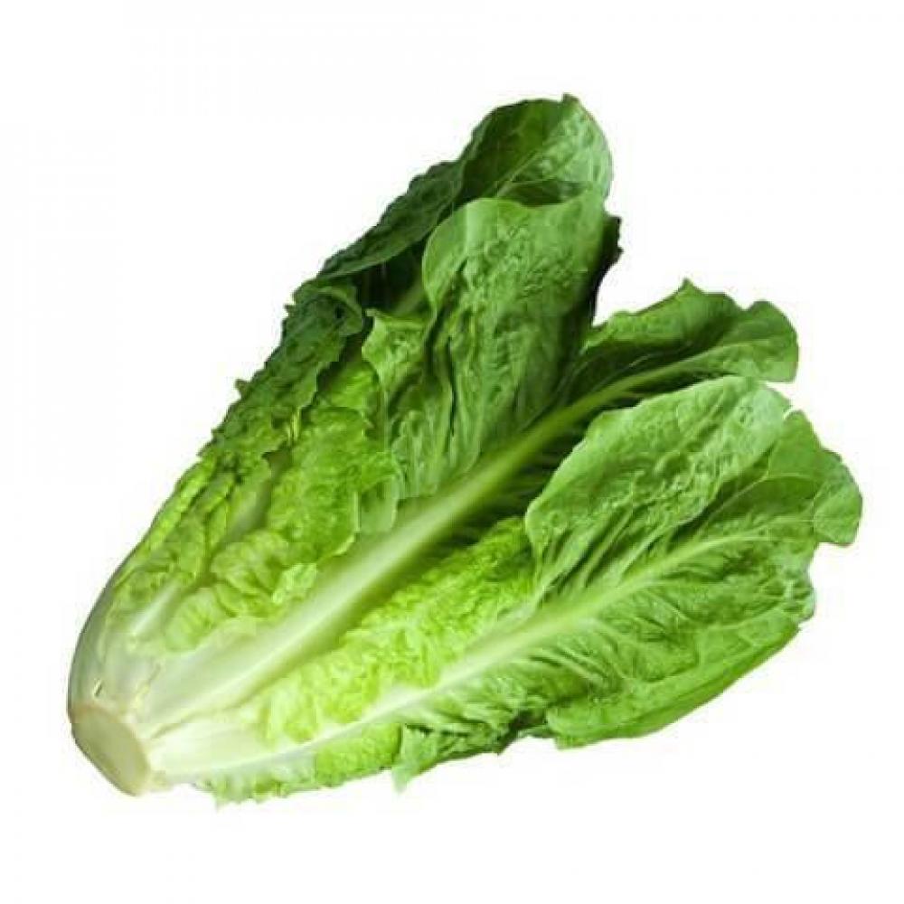 Romaine Lettuce 500g хоста lettuce salad m