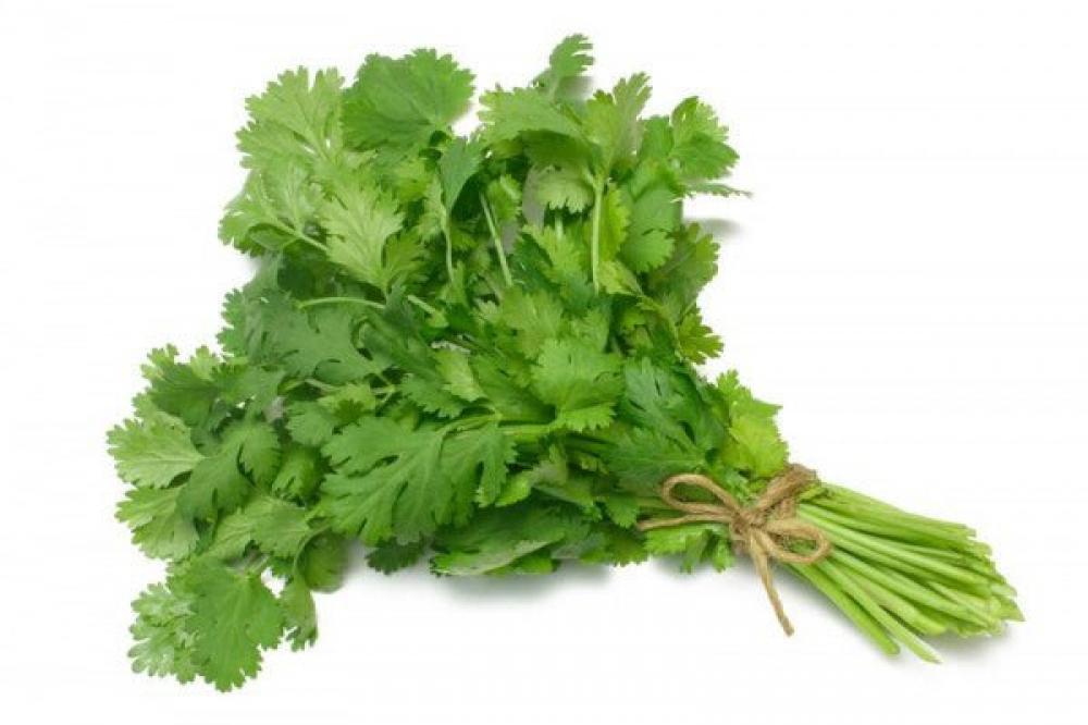 Coriander 100g tokarczuk o drive your plow over the bones of the dead