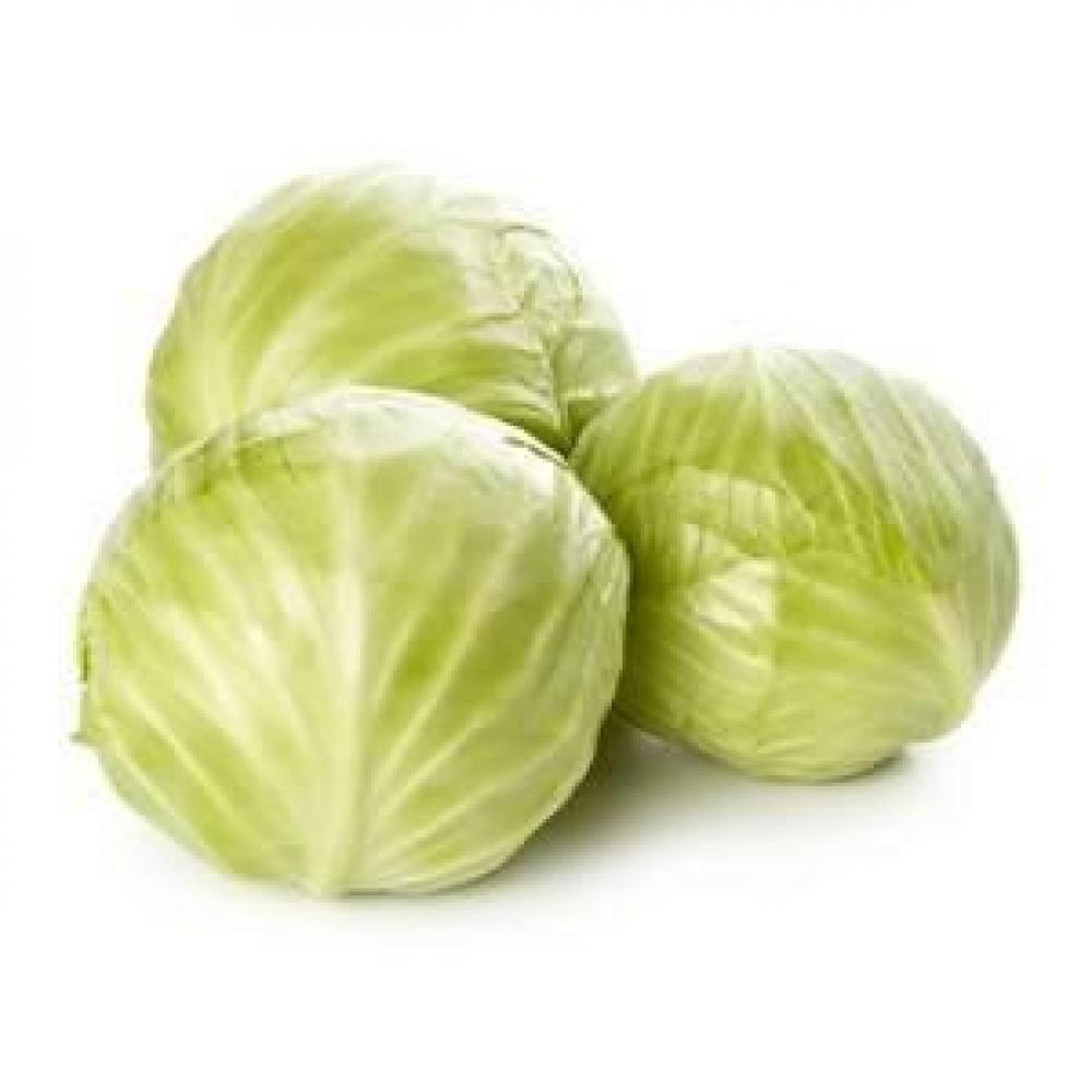White Cabbage chinese cabbage