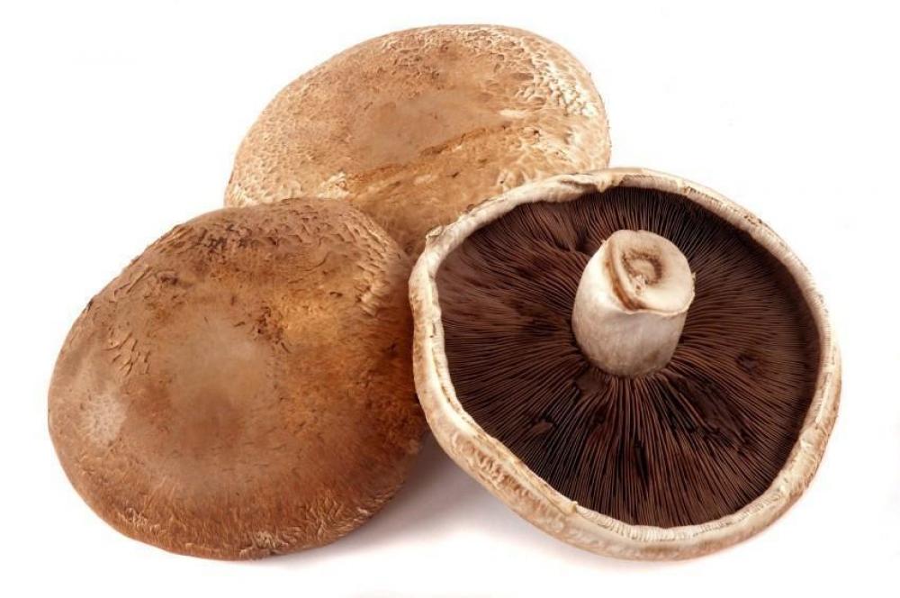 Portobello Mushroom 250g chak chak timosha 250g