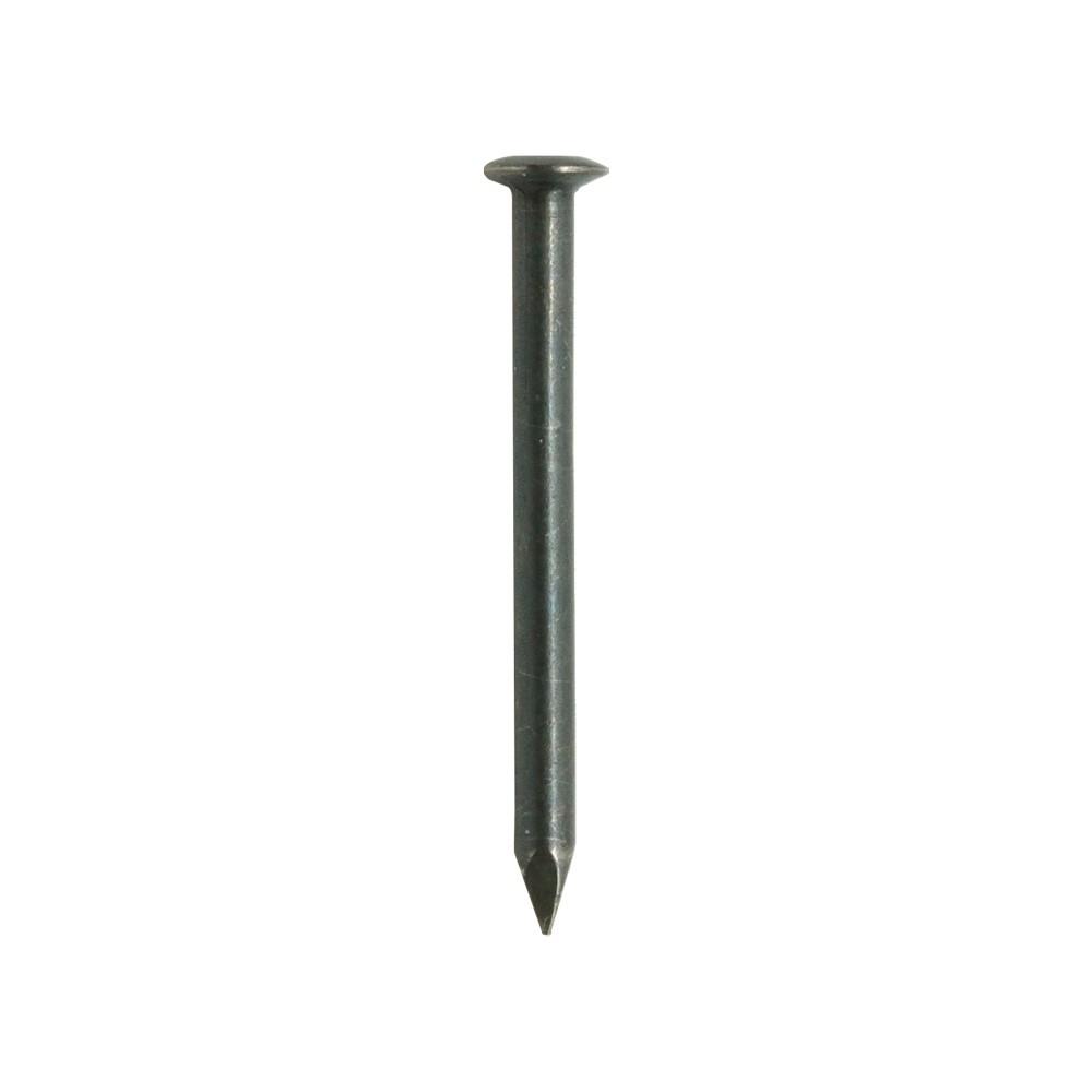 Homesmiths Concrete Black Nails 2 inch homesmiths concrete steel nails 2