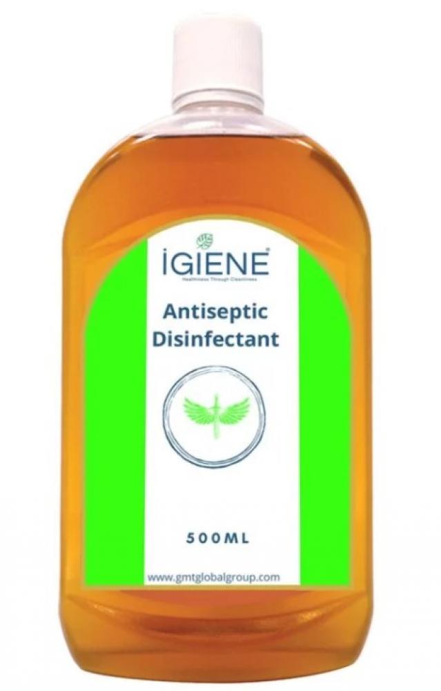 IGIENE Antiseptic Disinfectant - 500 ml energy antiseptic disinfectant ethyl alcohol 70% solution 500 ml