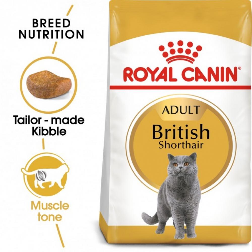ROYAL CANIN \/ Dry food, For adult british shorthair cat, 4kg корм для кошек royal canin british shorthair adult 400 г
