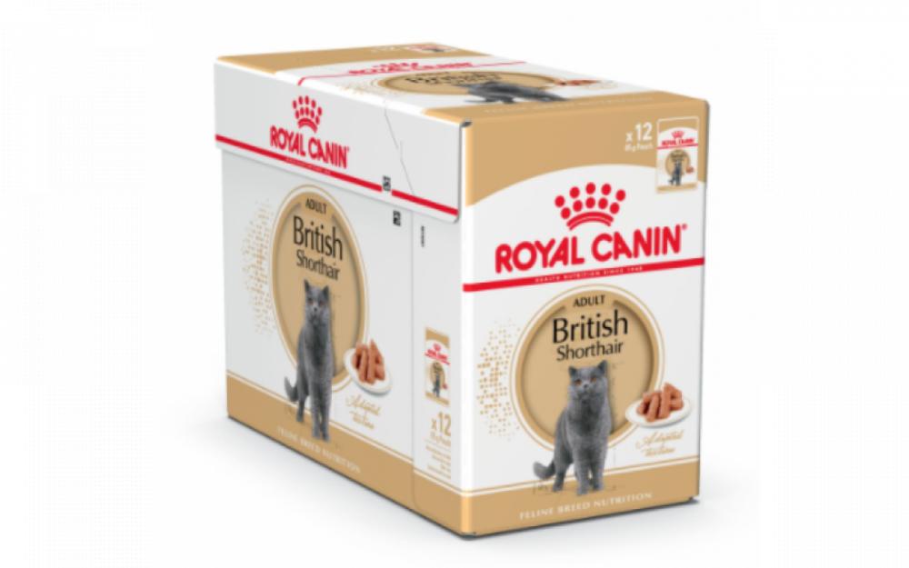 ROYAL CANIN \/ Wet food, For adult british shorthair cat, Box, 12 x 85g royal canin wet food for adult shih tzu dog 85g