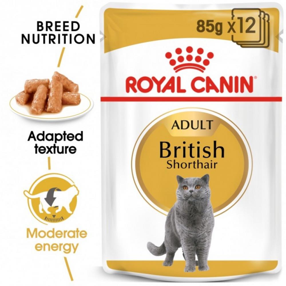 ROYAL CANIN \/ Wet food, For adult british shorthair cat, By piece, 85g royal canin wet food for adult indoor sterilized by piece gravy 85g