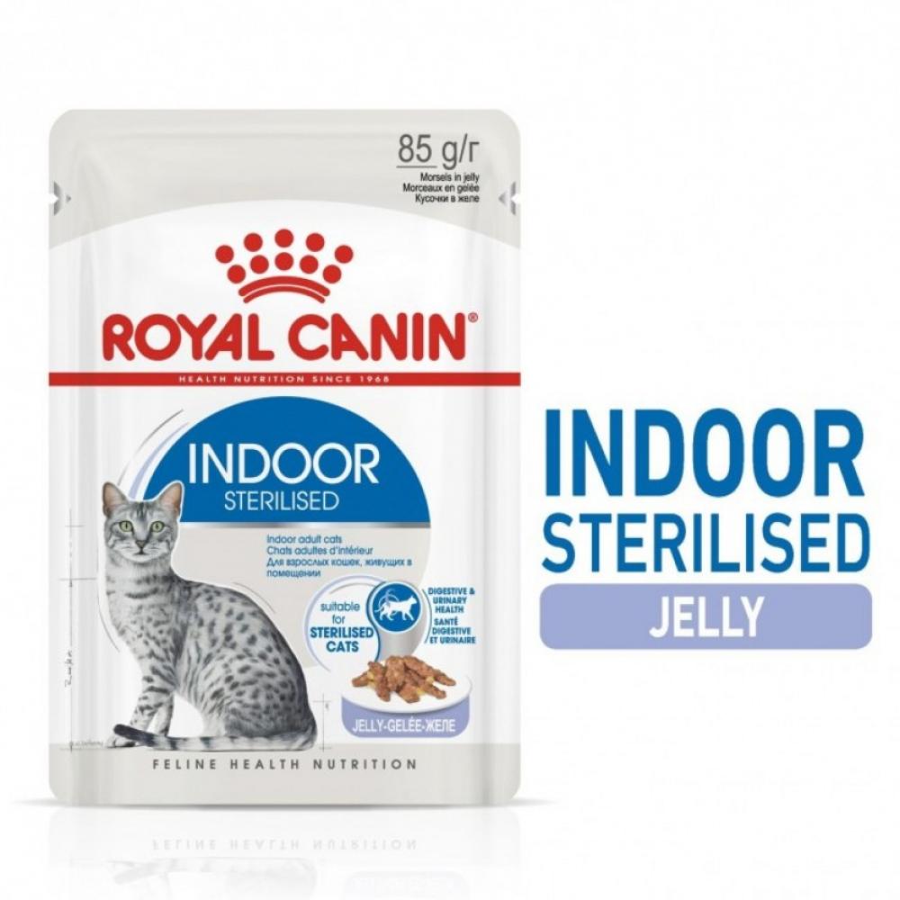 ROYAL CANIN \/ Wet food, For adult indoor sterilized cat, Jelly, Pouch, 85g royal canin wet food for adult shih tzu dog 85g
