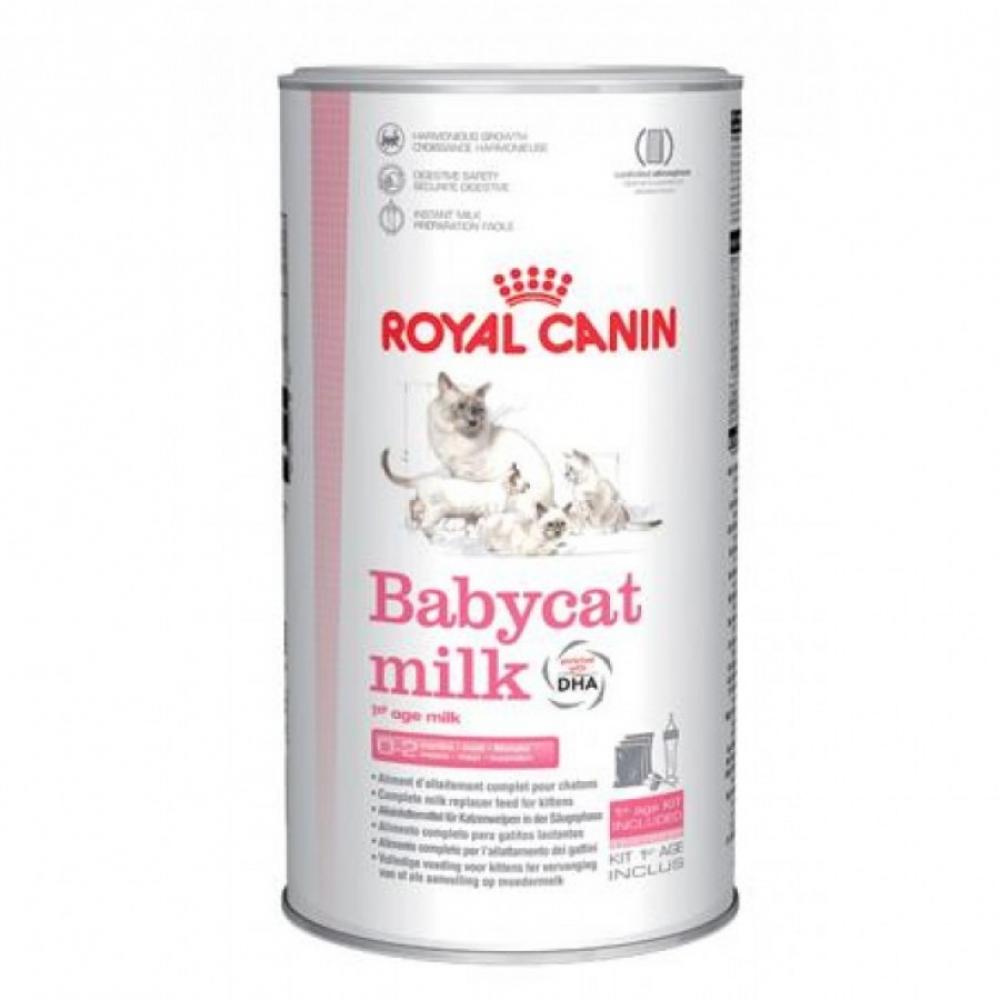 ROYAL CANIN \/ Wet food, Babycat milk, 300g royal canin wet food mother and babycat 6 9 lbs 195 g