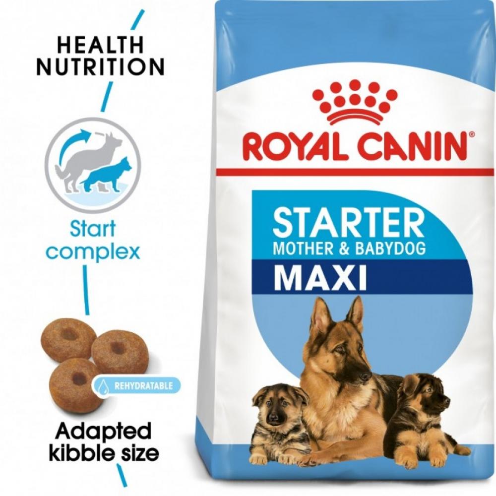 Royal Canin \/ Dry food, Starter mother and baby, Maxi dog, 8.82 lbs (4 kg) the mother
