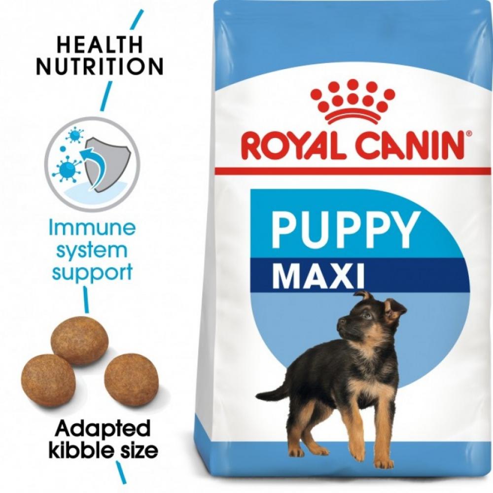 Royal Canin \/ Dry food, Puppy maxi dog, 529.1 lbs (15 kg) royal canin dry food french bulldog puppy 3 kg