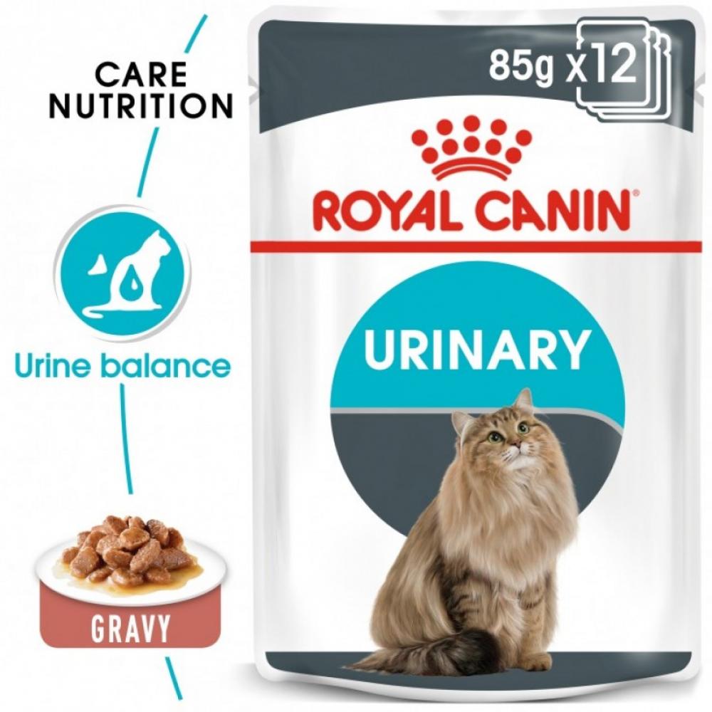 Royal Canin \/ Wet food, Urinary care in gravy, Pouch, 3 oz (85 g) friskies wet cat food ocean whitefish and tuna shreds in sauce 5 5 oz 156 g