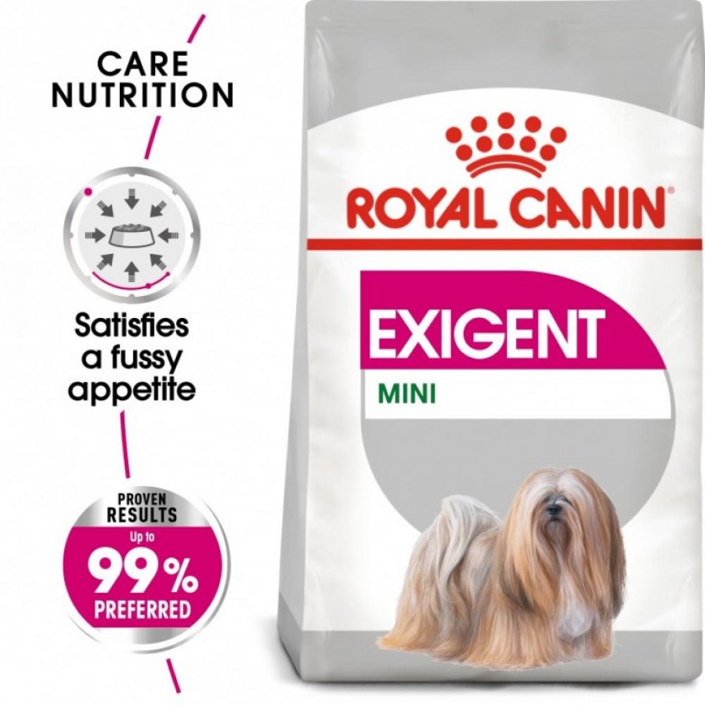 Royal Canin \/ Dry food, Mini adult exigent, 105.8 oz. (3 kg) high quality small bag women s autumn and winter 2021 new fashion retro messenger bag all match one shoulder small square bag