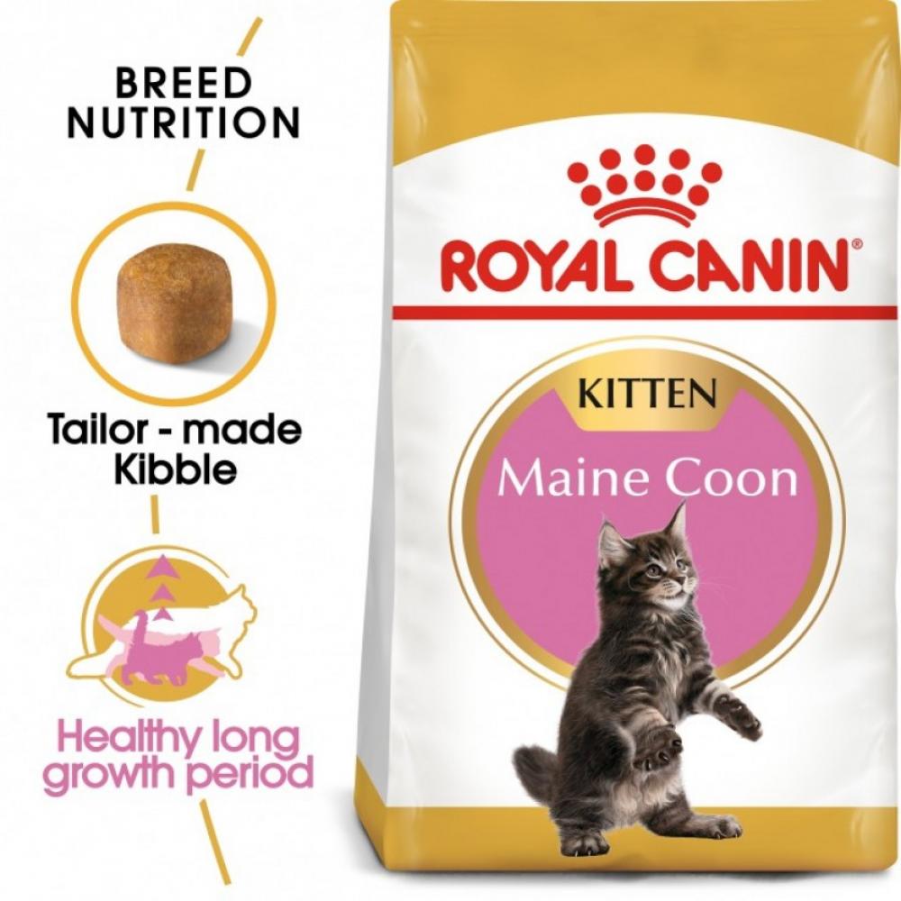 цена Royal Canin \/ Dry food, Maine coon kitten,4.41 oz. (2 kg)