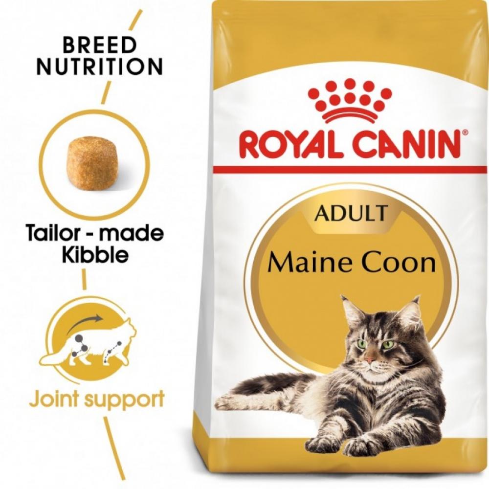 Royal Canin \/ Dry food, Maine coon, Cat adult, 4.41 oz. (2 kg)