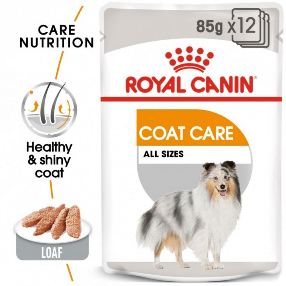 Royal Canin \/ Wet food, Coat care, All sizes, Pouch, 3 oz (85 g) royal canin wet food urinary care in gravy pouch 3 oz 85 g