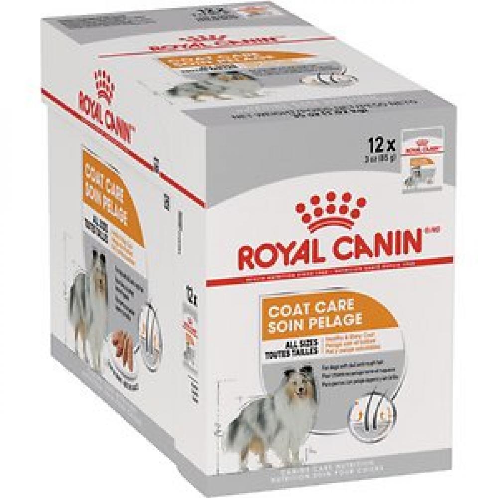Royal Canin \/ Wet food, Coat care, All sizes, Pouch box, 12 x 3 oz (12 x 85 g) royal canin wet dog food starter mousse mother and babydog 6 8 oz 195 g