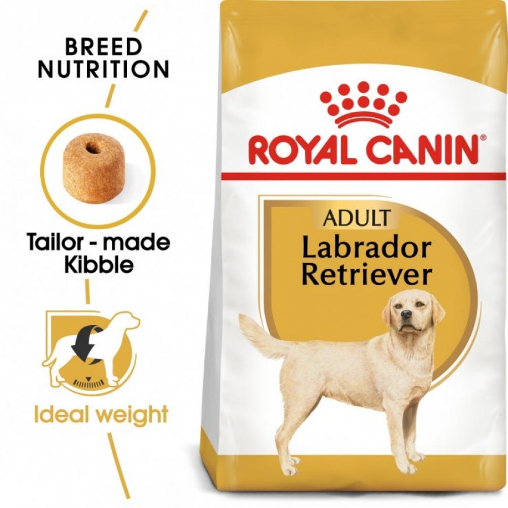 Royal Canin \/ Dry food, Labrador adult, 26,46 lbs (12 kg) royal canin dry food labrador adult 26 46 lbs 12 kg