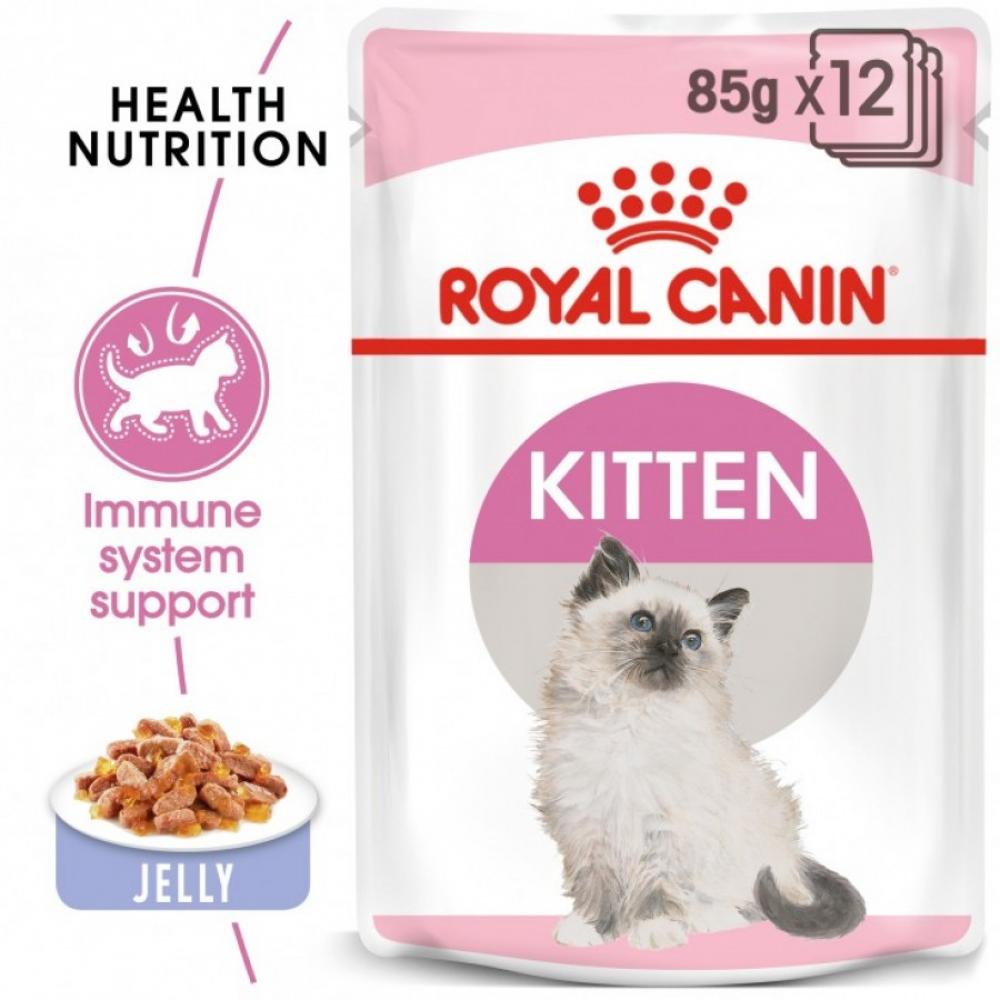 Royal Canin \/ Wet food, Kitten, Jelly, 3 oz (85 g)
