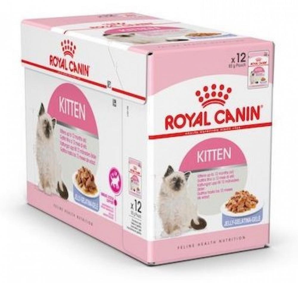 Royal Canin \/ Wet food, Kitten, Jelly, Pouch box, 12 x 3 oz (12 x 85 g) royal canin wet food indoor sterilised jelly pouch box 12 x 3 oz 12 x 85 g