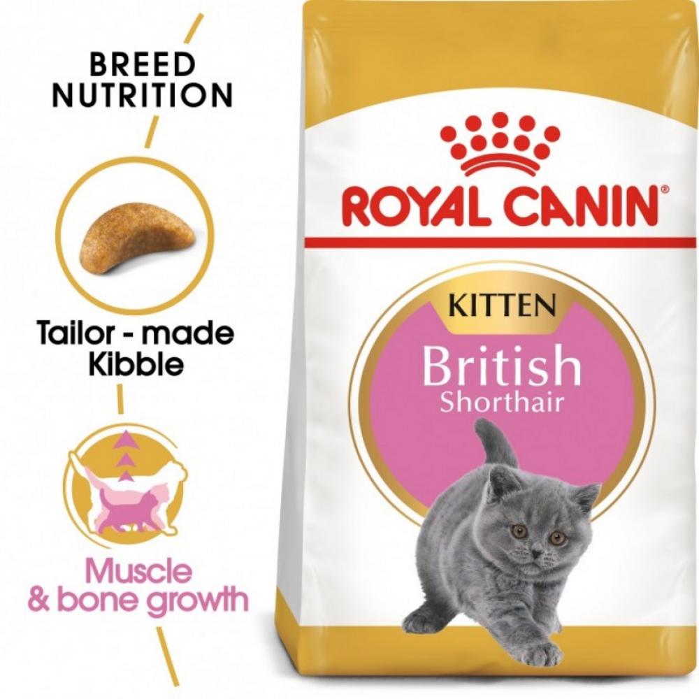 Royal Canin \/ Wet food, Kitten, British shorthair, 4.41 lbs (2 kg) royal canin wet food intense beauty gravy pouch box 12 x 3 oz 12 x 85 g