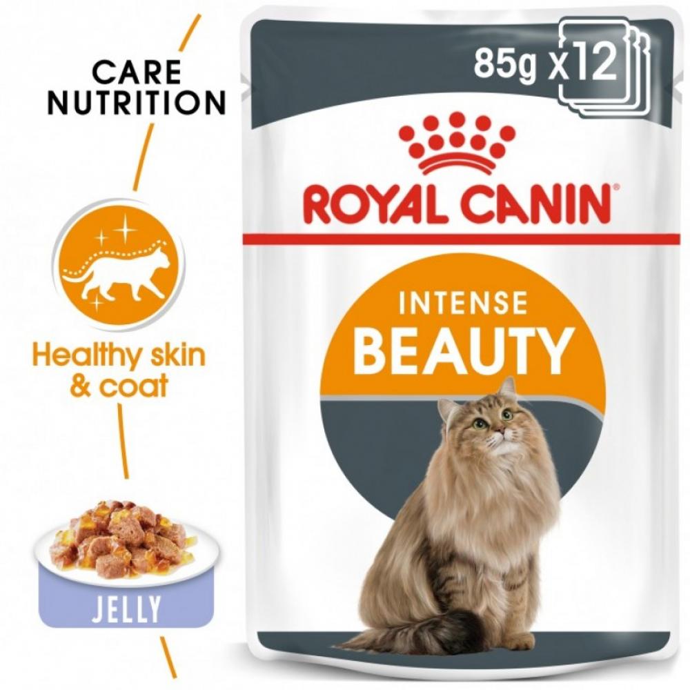 Royal Canin \/ Wet food, Intense beauty, Jelly, 3 oz (85 g) m pets food dispense blue 2500 ml