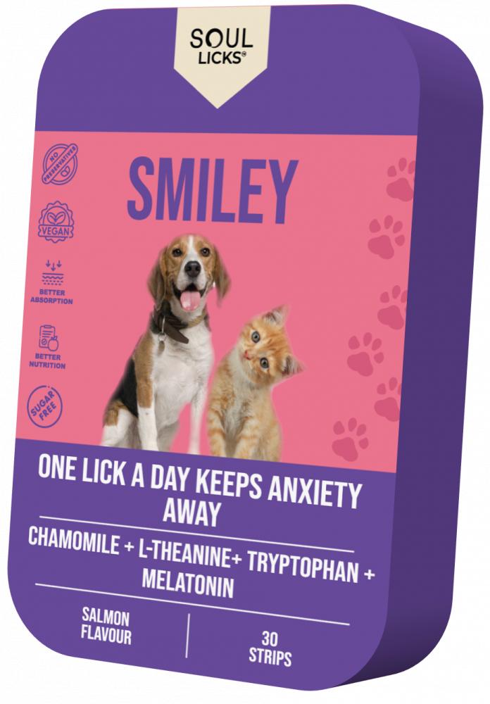 Soul Licks Smily the happiness journal creative activities to bring joy to your day