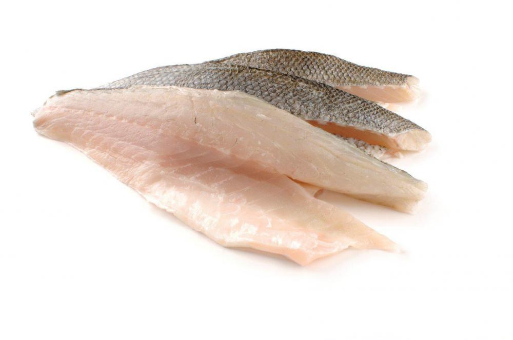 Wild Fillet Sea Bass Loup De Mer, 500 g the pathfinder or the inland sea