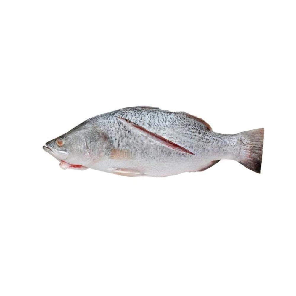 Kerala Pink Perch (Kilimeen, Sankara Meen), whole, cleaned, 500 g lady fish hassom silver whiting whole cleaned 500 g