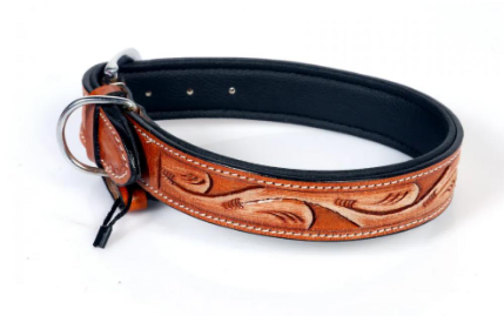 цена Engraved Leather Dog Collar Canary Tan - M