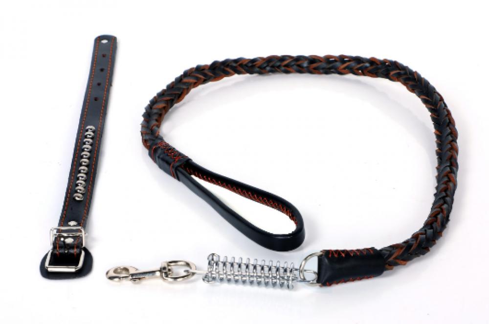 Luciano Leather Dog Collar And Leash Set - Black - M